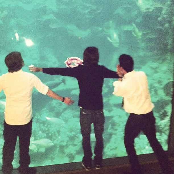 277438385004626057_5704239