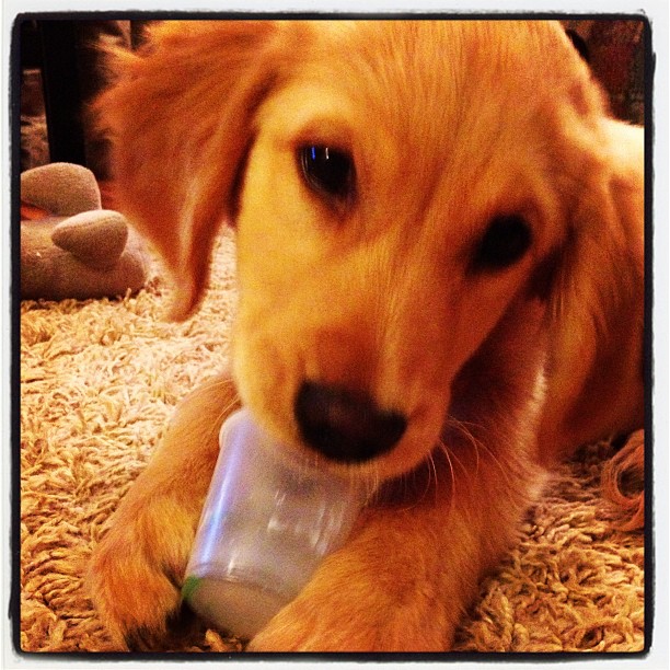 362452796978715802_174739310