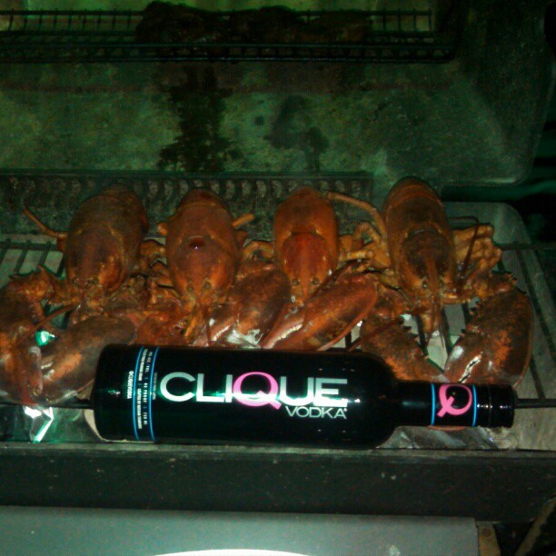 363260889190846655_201085211