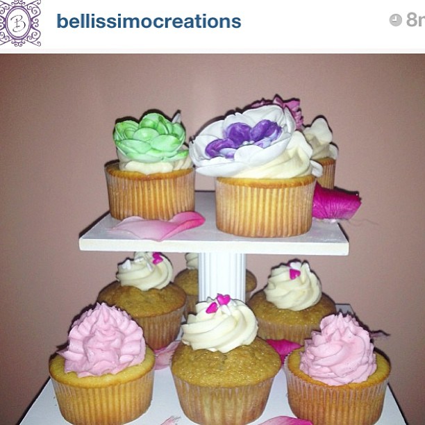 388381777247887696_11381559