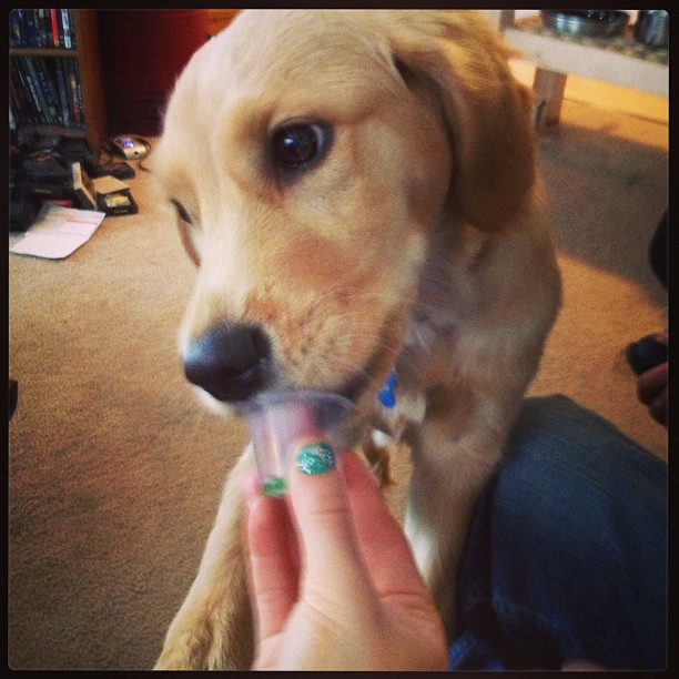 413012291131498309_174739310