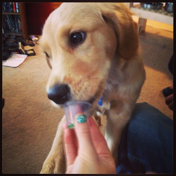 413012822759530327_174739310