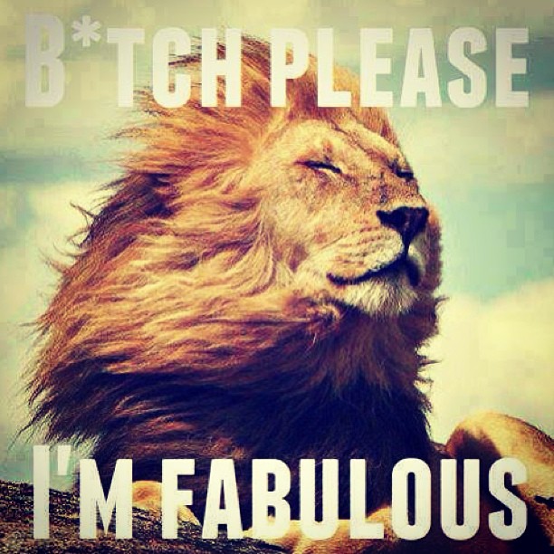 497805039499351794_210794228