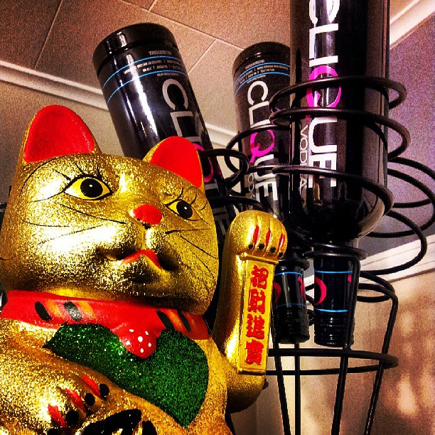 532886955140604859_252931559