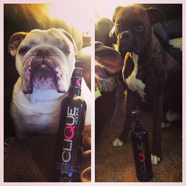 559553094925809764_45285381