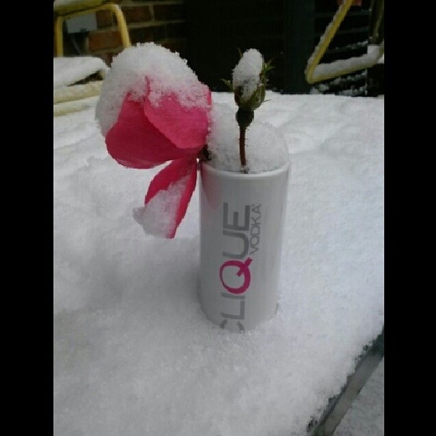 587606959516792193_459480748