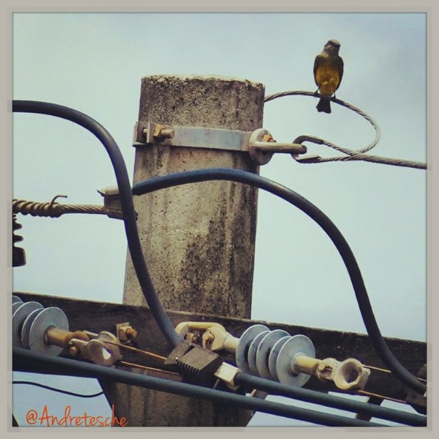 600287928438913103_524410925