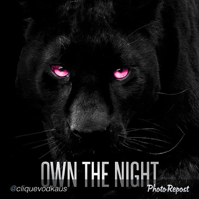 640044475359218941_9258890