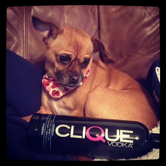 664632012605096495_255412943