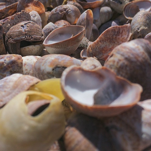 690142115715049874_16323801