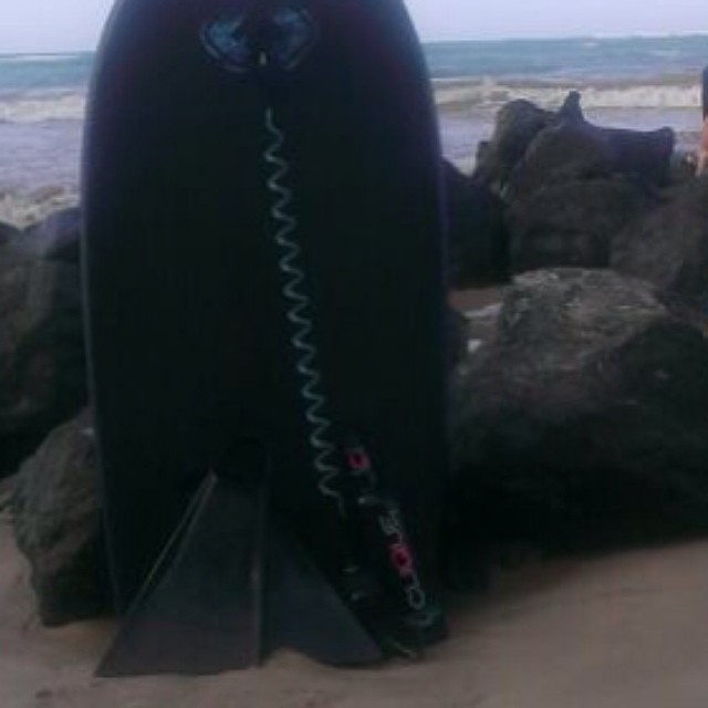 727483294870620825_977704817