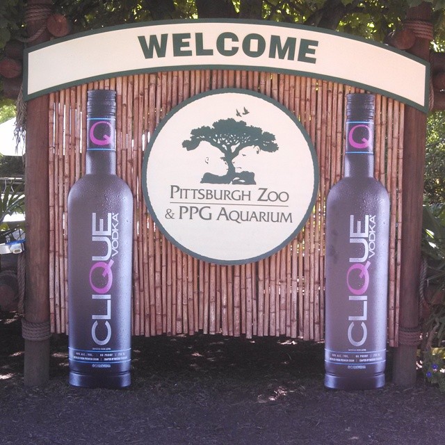 772562553892196701_201085211