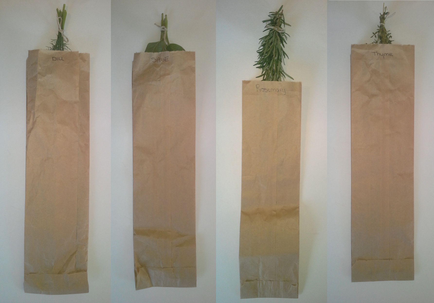 How to dry herbs from your cocktail garden! Clique Vodka Black